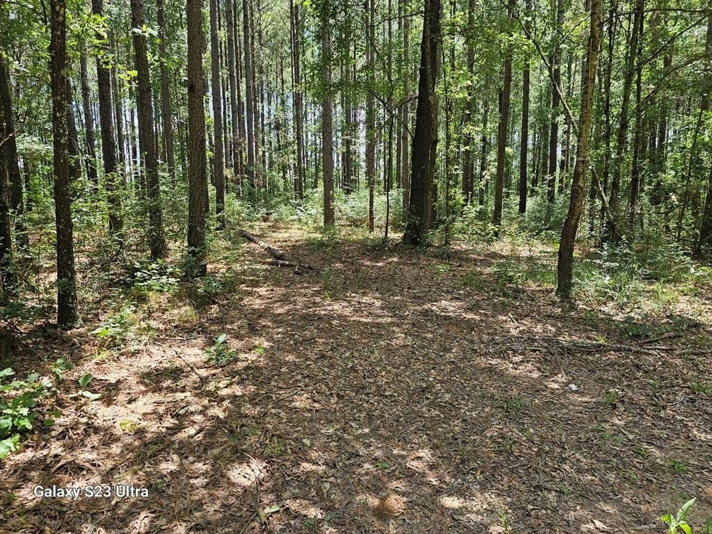 30.33 acres in Texas County - photo 21