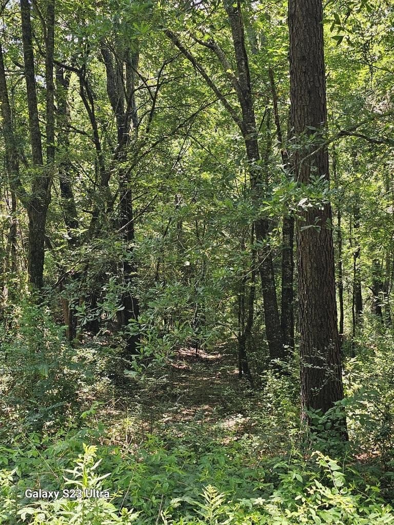 30.33 acres in Texas County - photo 7