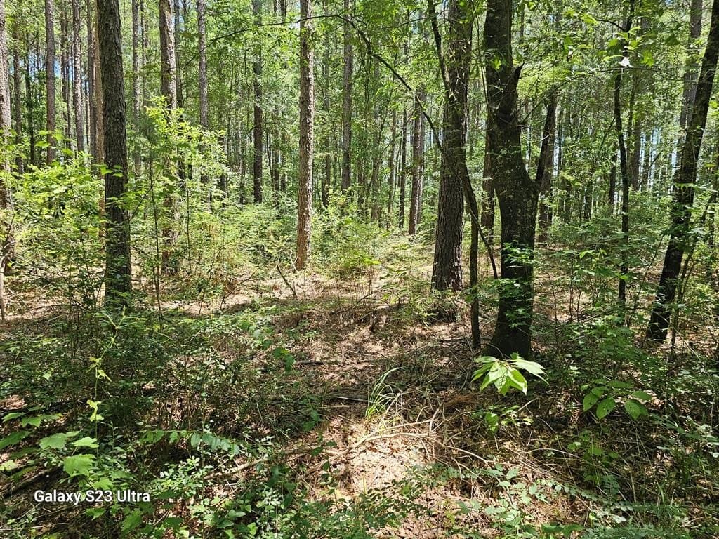 30.33 acres in Texas County - photo 23