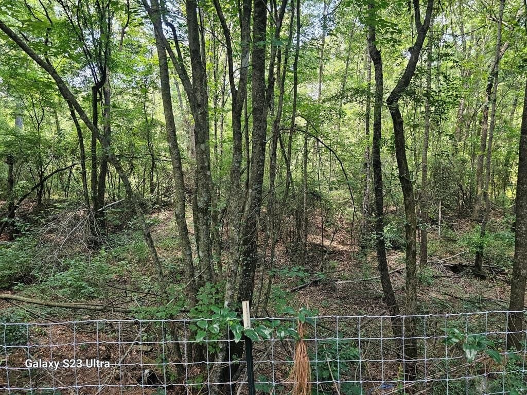 30.33 acres in Texas County - photo 14