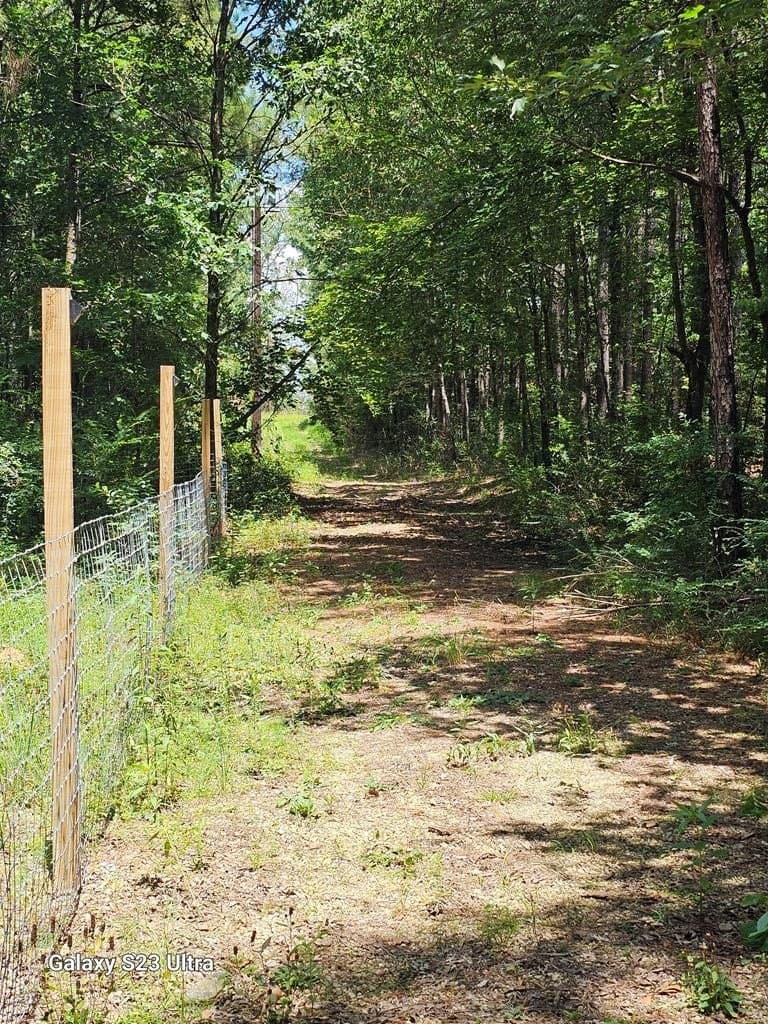 30.33 acres in Texas County - photo 6