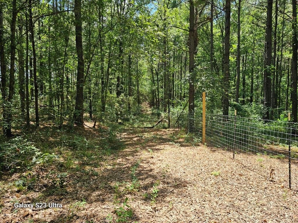 30.33 acres in Texas County - photo 20