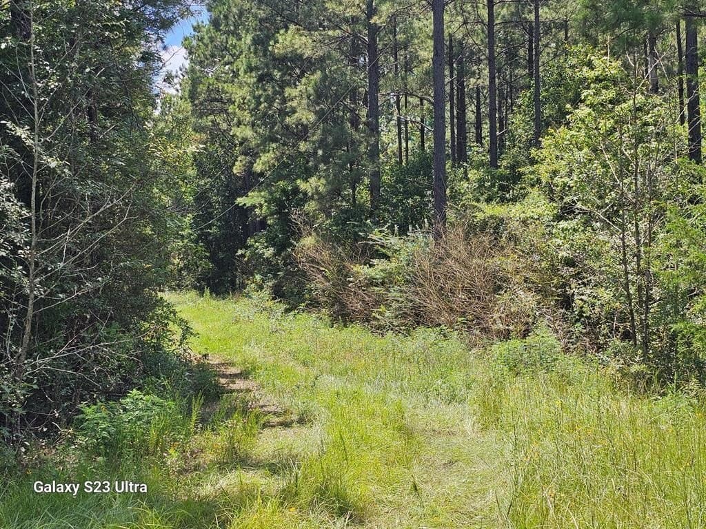 30.33 acres in Texas County gallery image 4