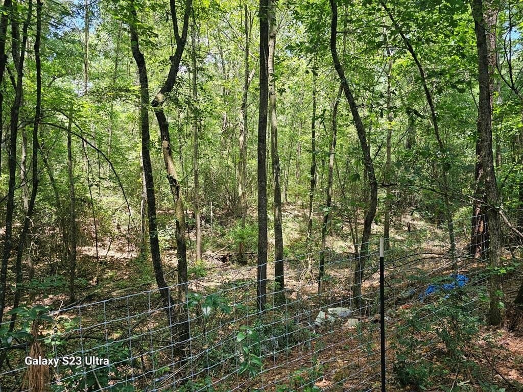 30.33 acres in Texas County - photo 15