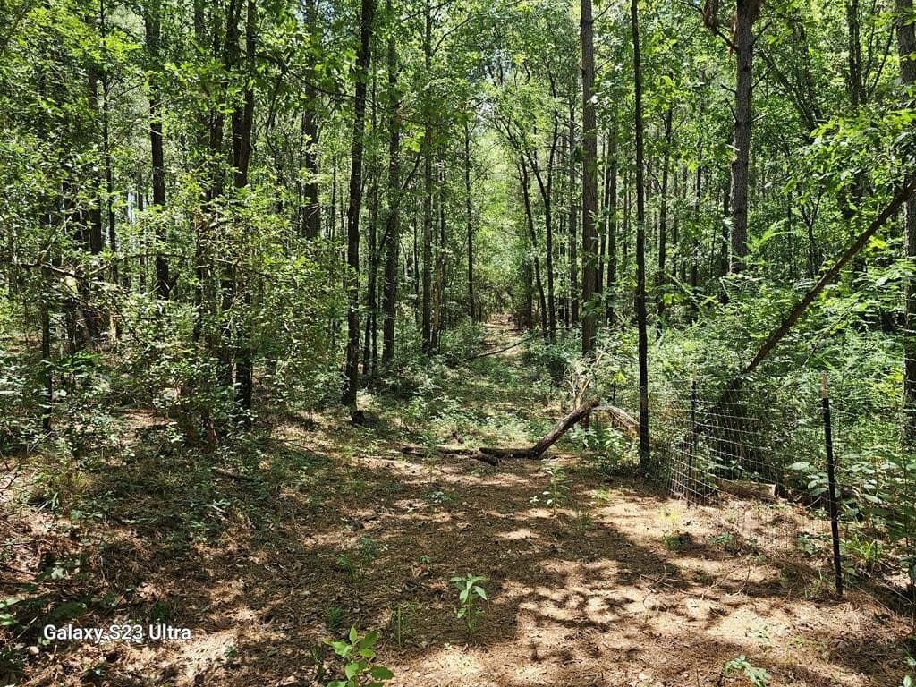 30.33 acres in Texas County gallery image 2
