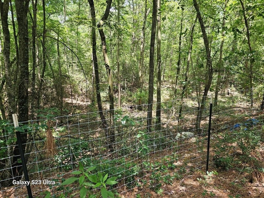 30.33 acres in Texas County - photo 16