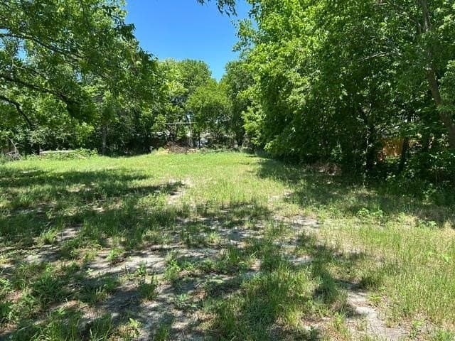 0.24 acres in Grayson County - photo 3