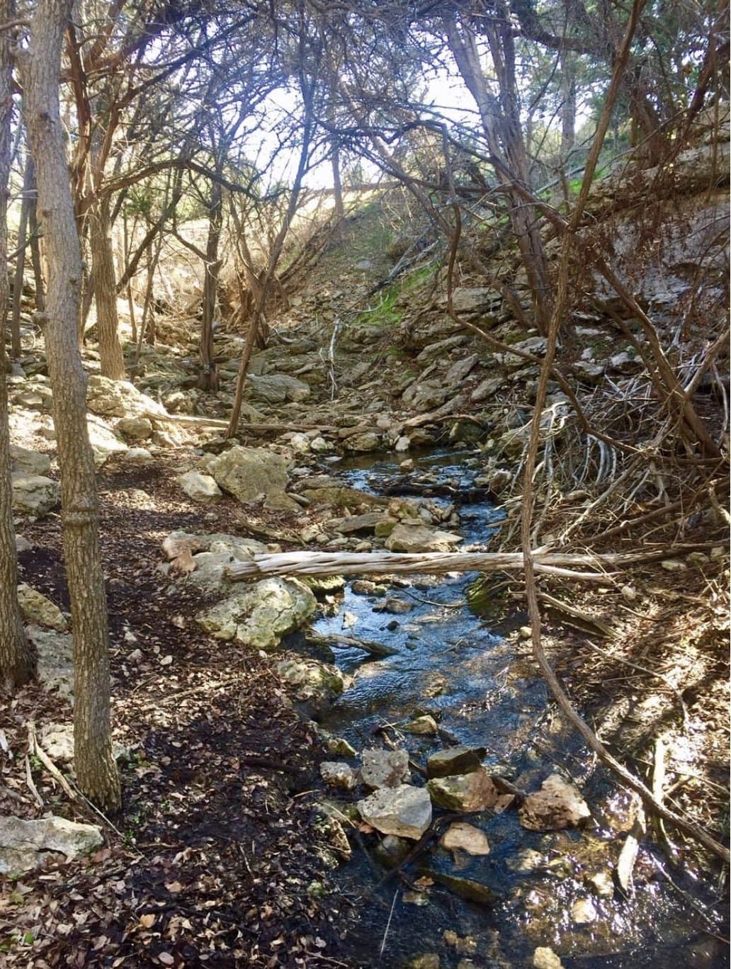 1.33 acres in Palo Pinto County gallery image 2