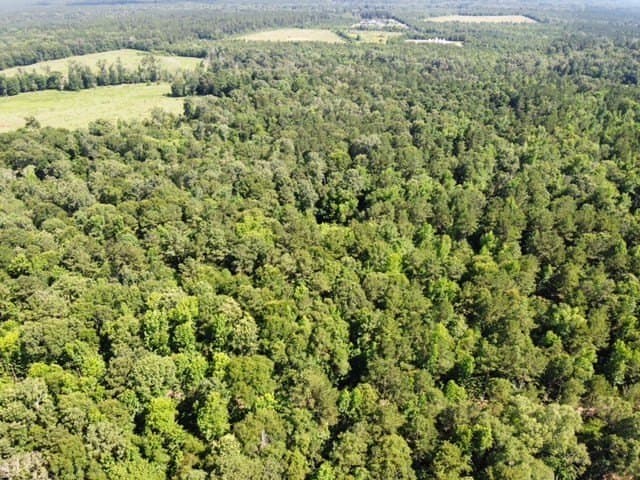 48.52 acres in Texas County gallery image 4