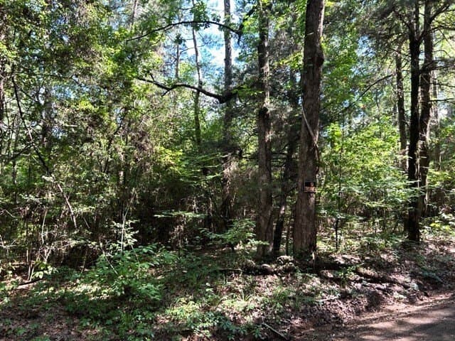48.52 acres in Texas County - photo 7