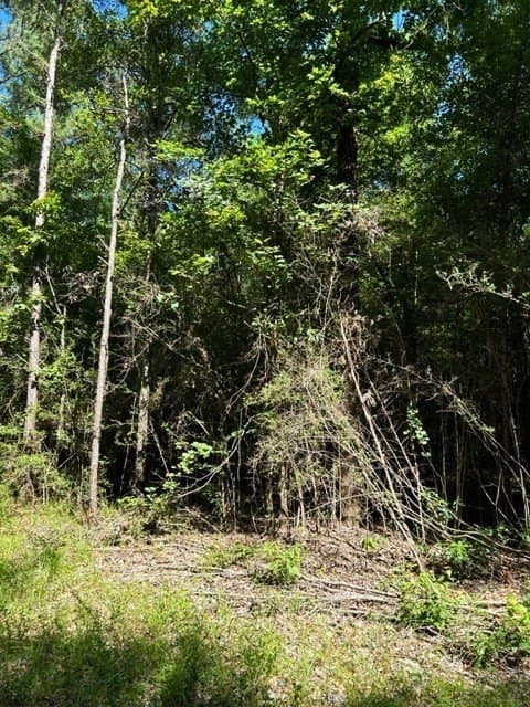 48.52 acres in Texas County - photo 6
