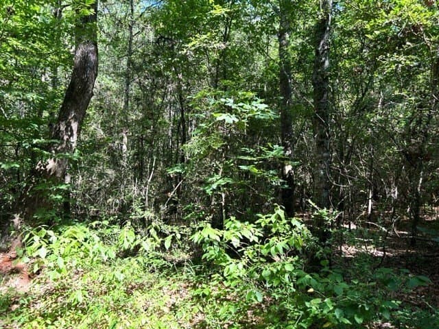 48.52 acres in Texas County - photo 8