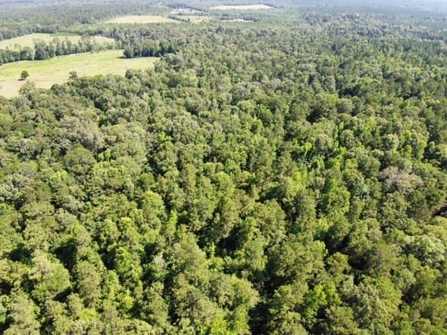 48.52 acres in Texas County gallery image 3