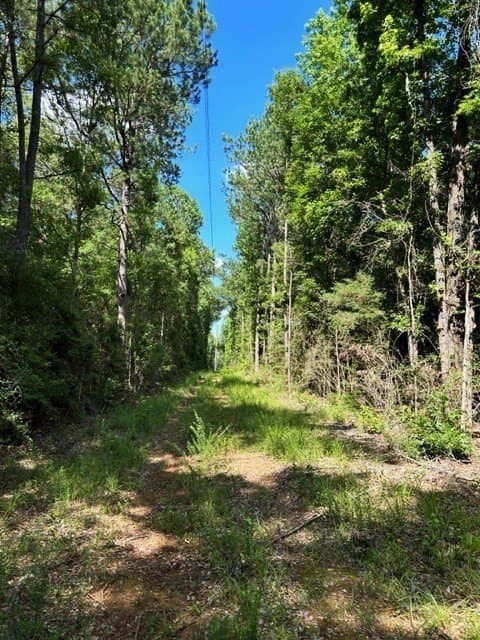 48.52 acres in Texas County featured view