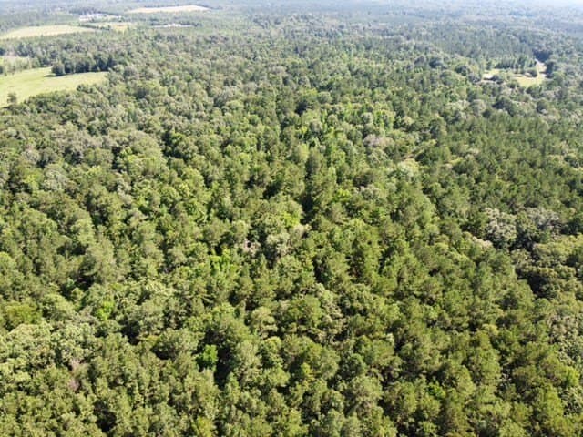 48.52 acres in Texas County gallery image 2