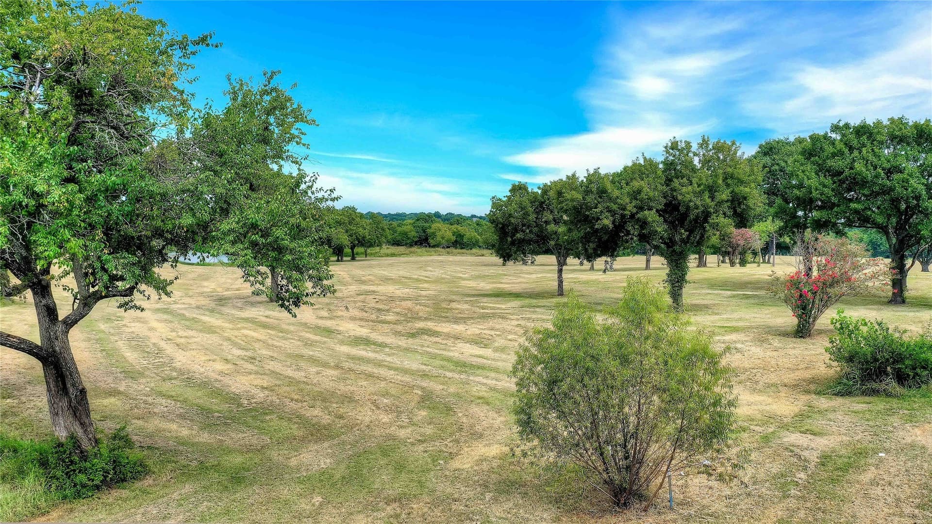 22.55 acres in Grayson County - photo 27