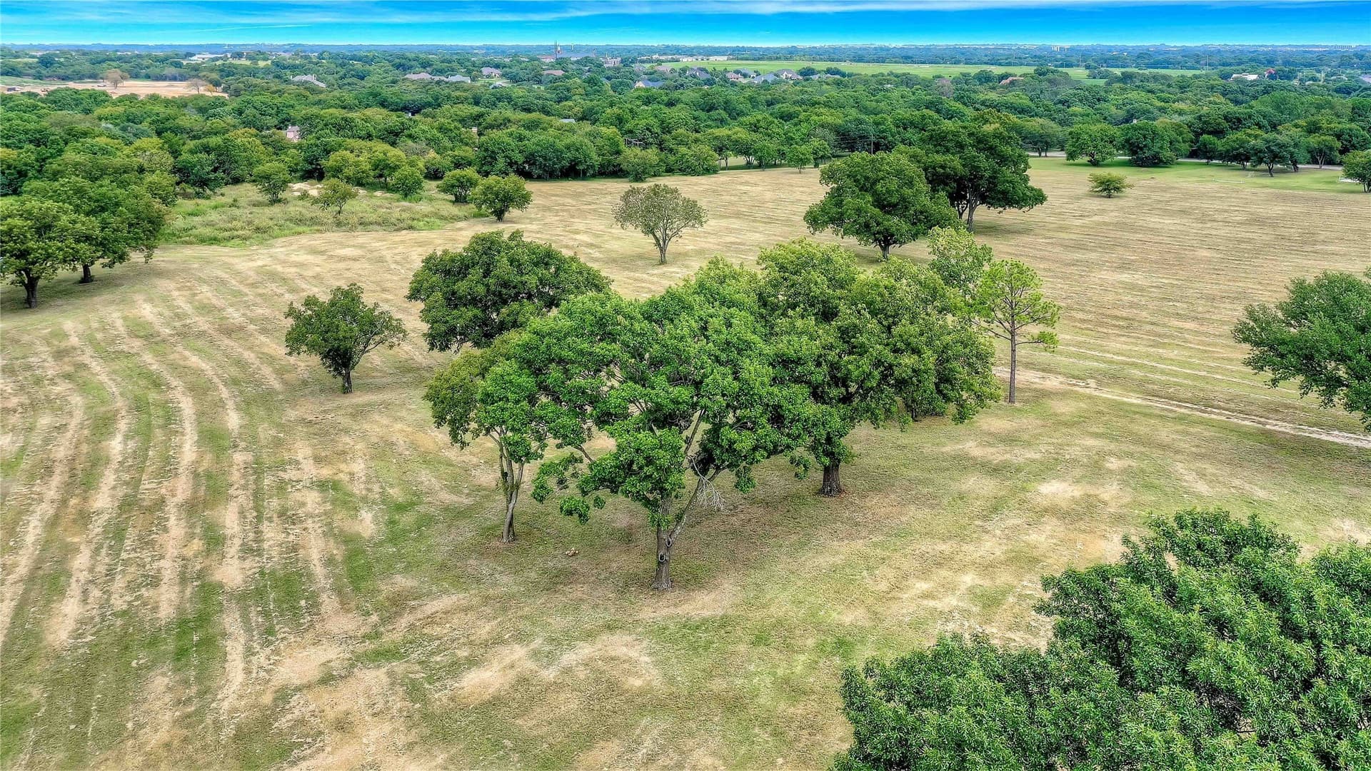 22.55 acres in Grayson County gallery image 4