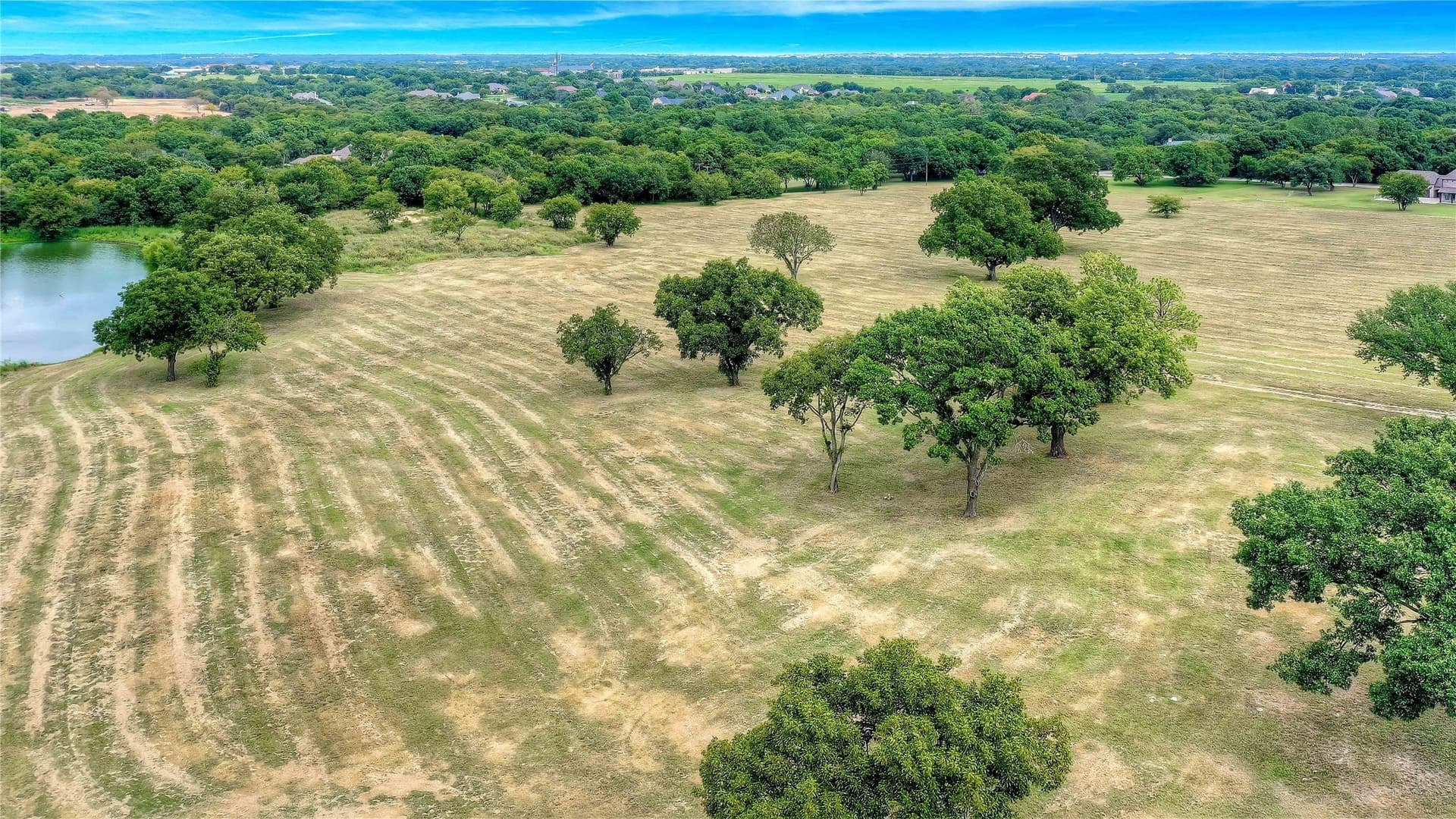 22.55 acres in Grayson County gallery image 3