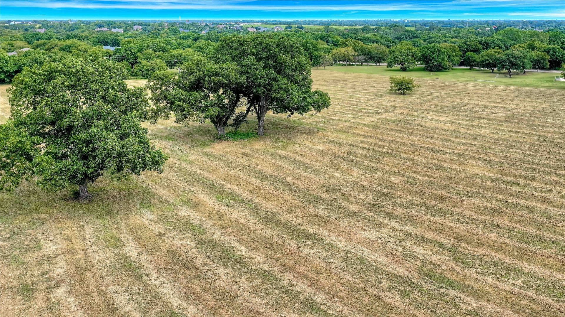22.55 acres in Grayson County - photo 6