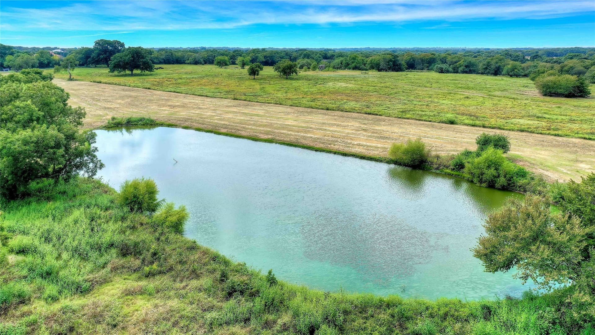 22.55 acres in Grayson County - photo 16