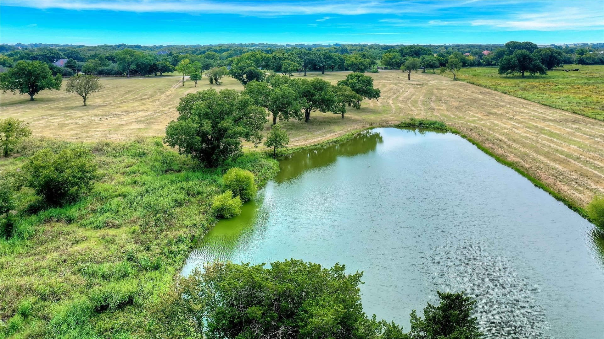 22.55 acres in Grayson County - photo 17