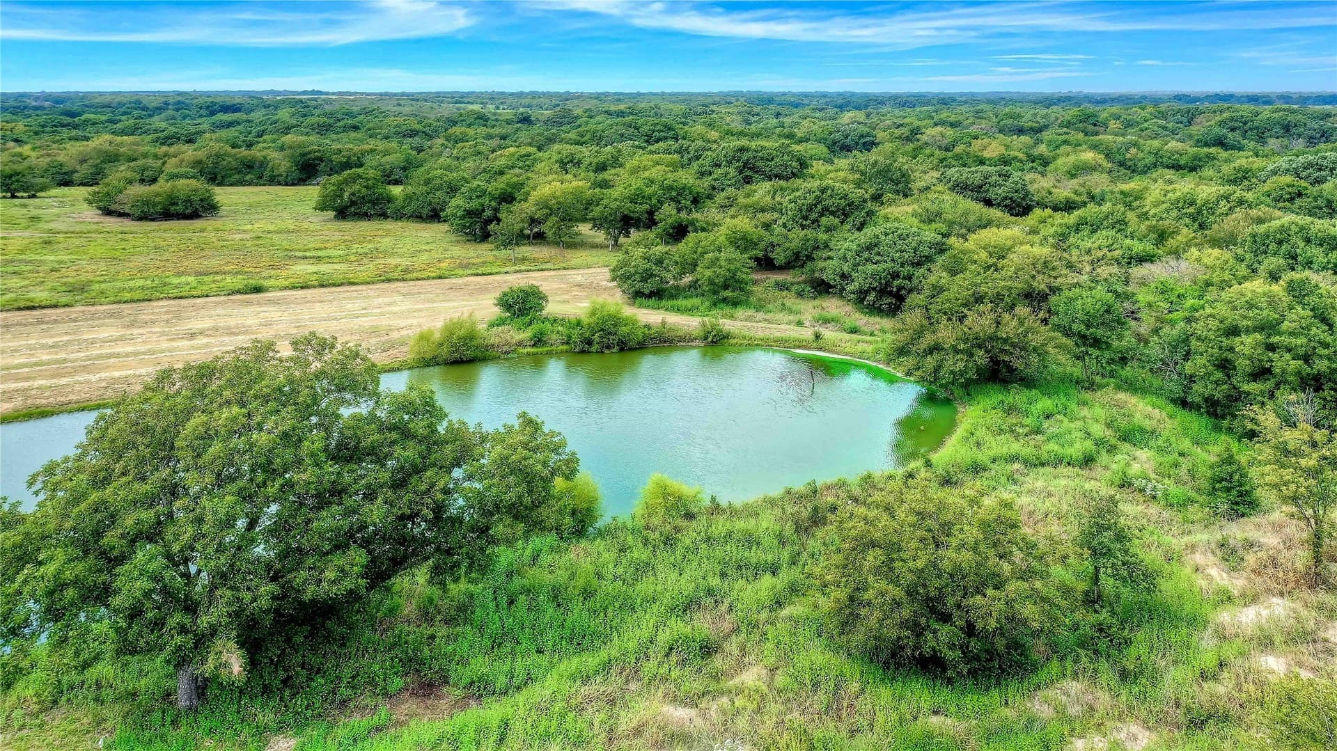 22.55 acres in Grayson County - photo 15