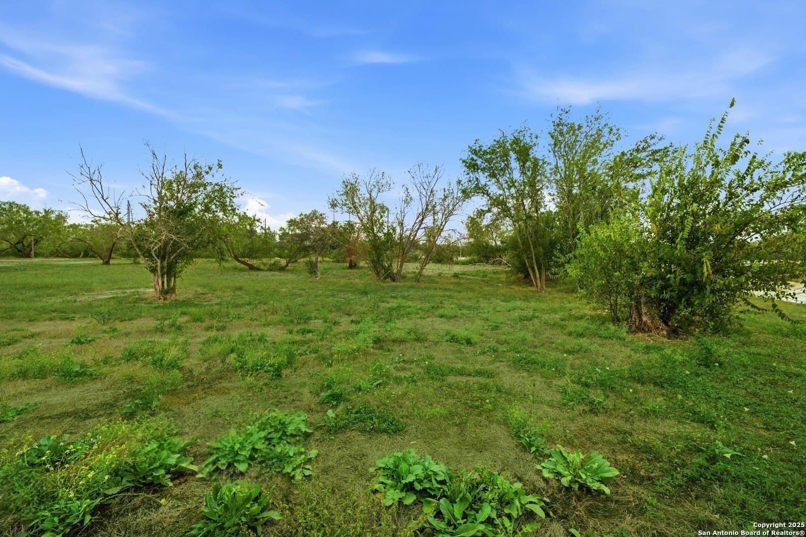 1.02 acres in Bexar County - photo 2