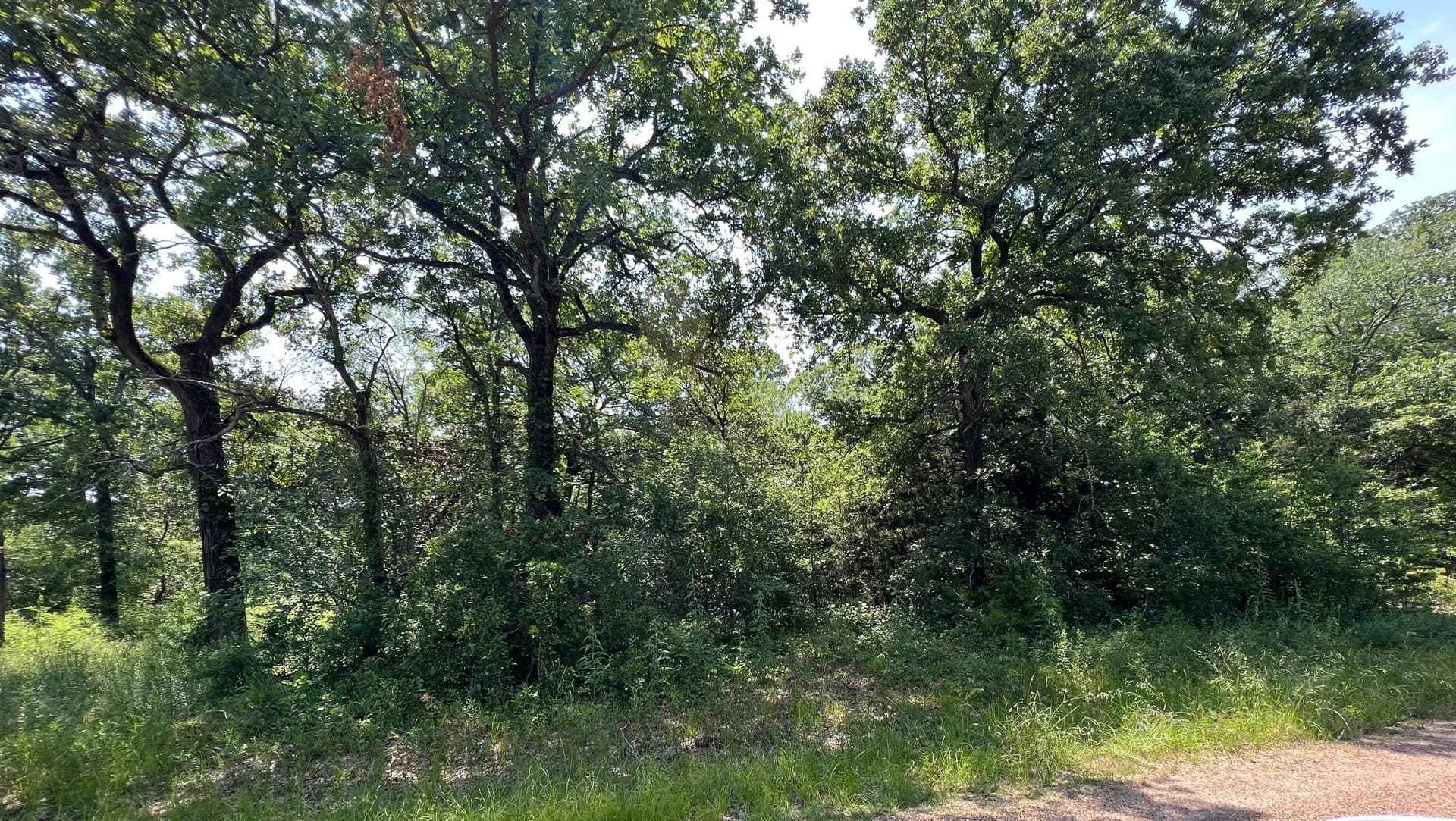0.11 acres in Henderson County - photo 2