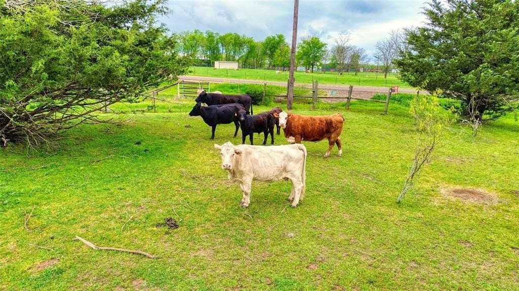 13.98 acres in Navarro County featured view