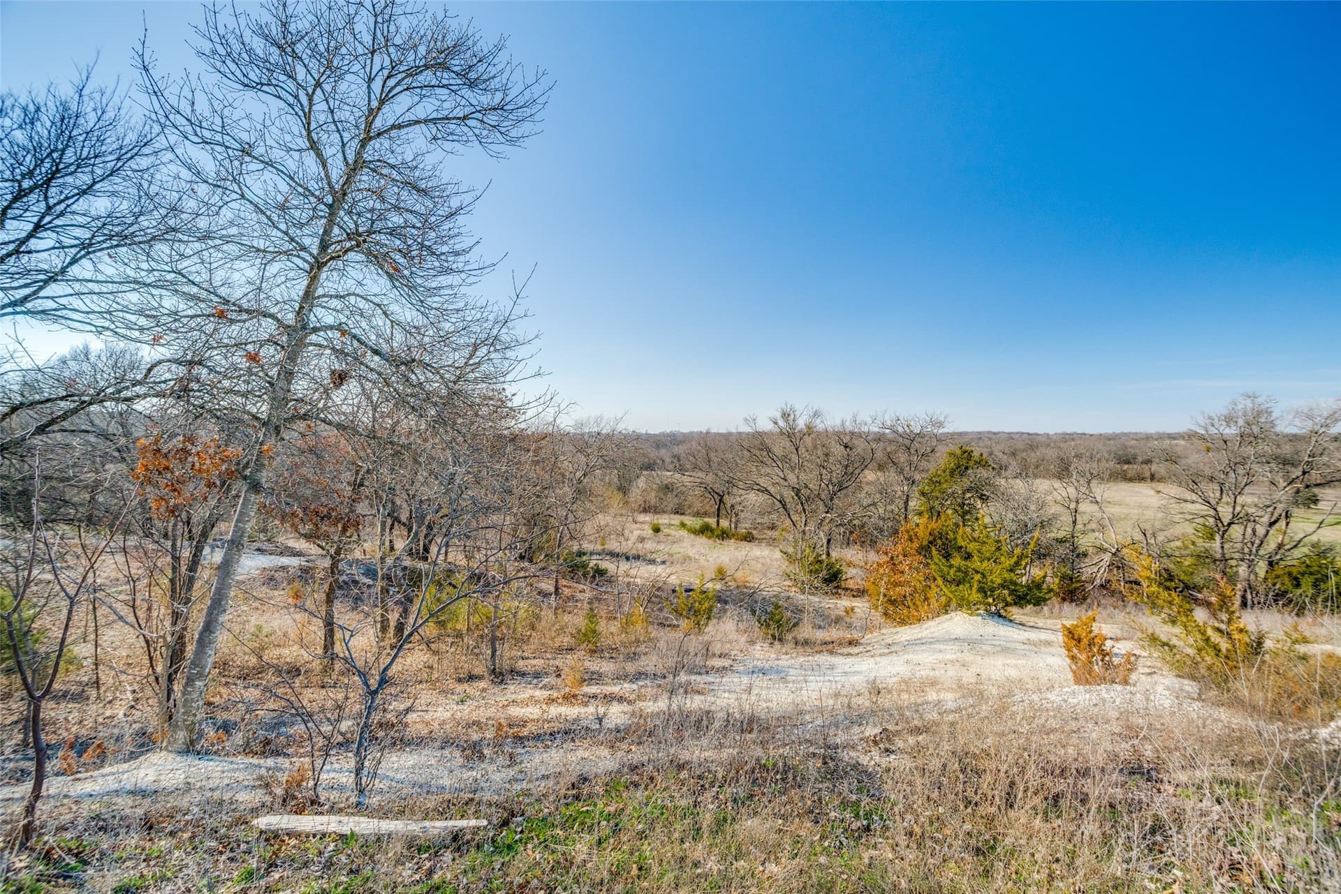 7.44 acres in Collin County - photo 11