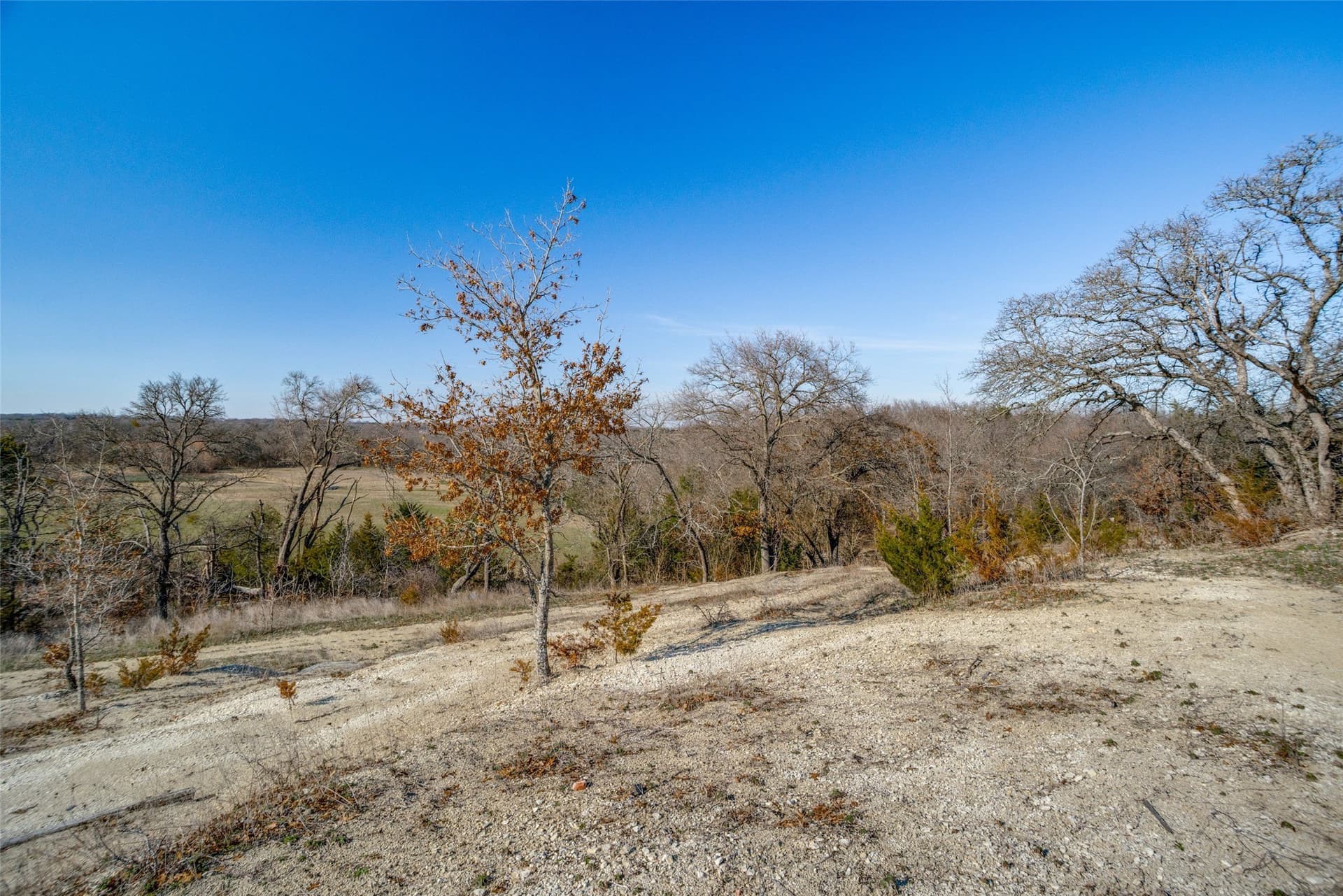 7.44 acres in Collin County - photo 10