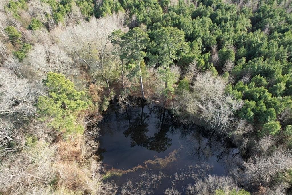 12.2 acres in Shelby County gallery image 3