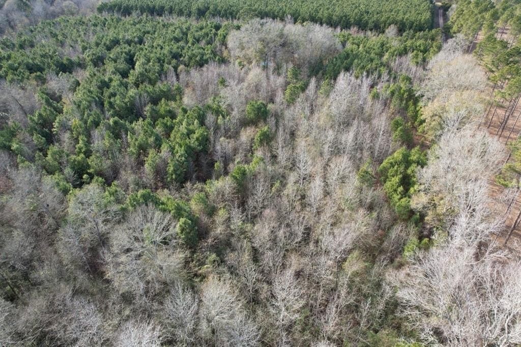 12.2 acres in Shelby County gallery image 2