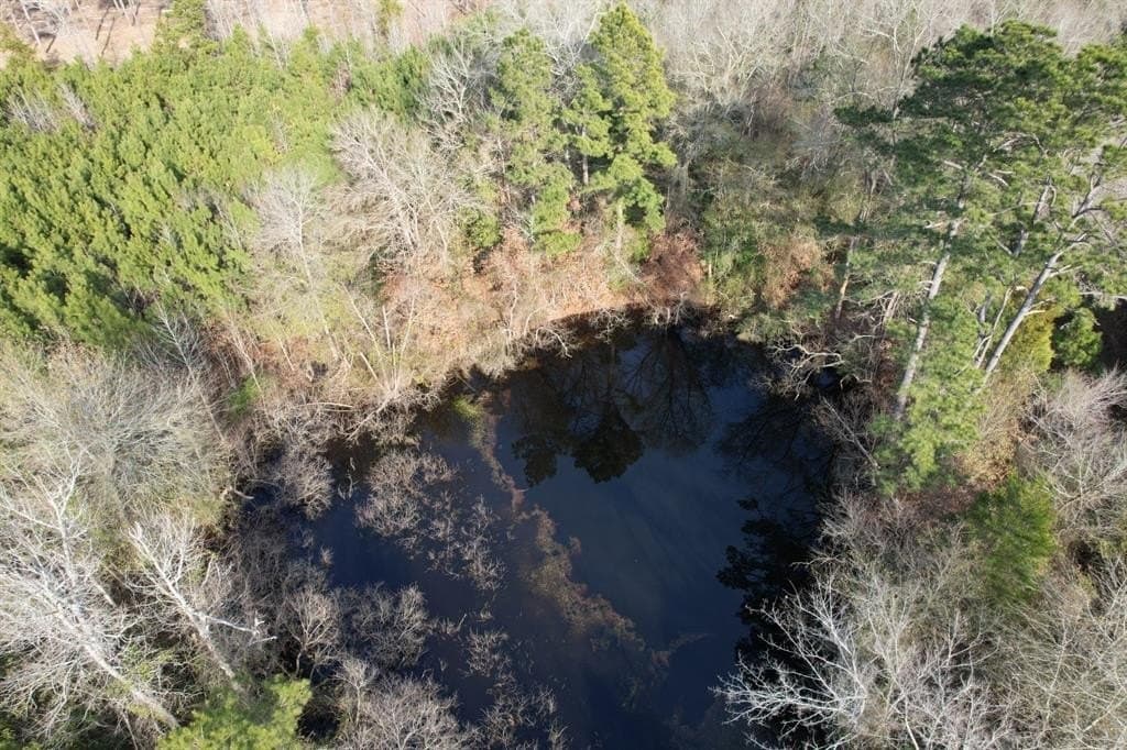 12.2 acres in Shelby County gallery image 4