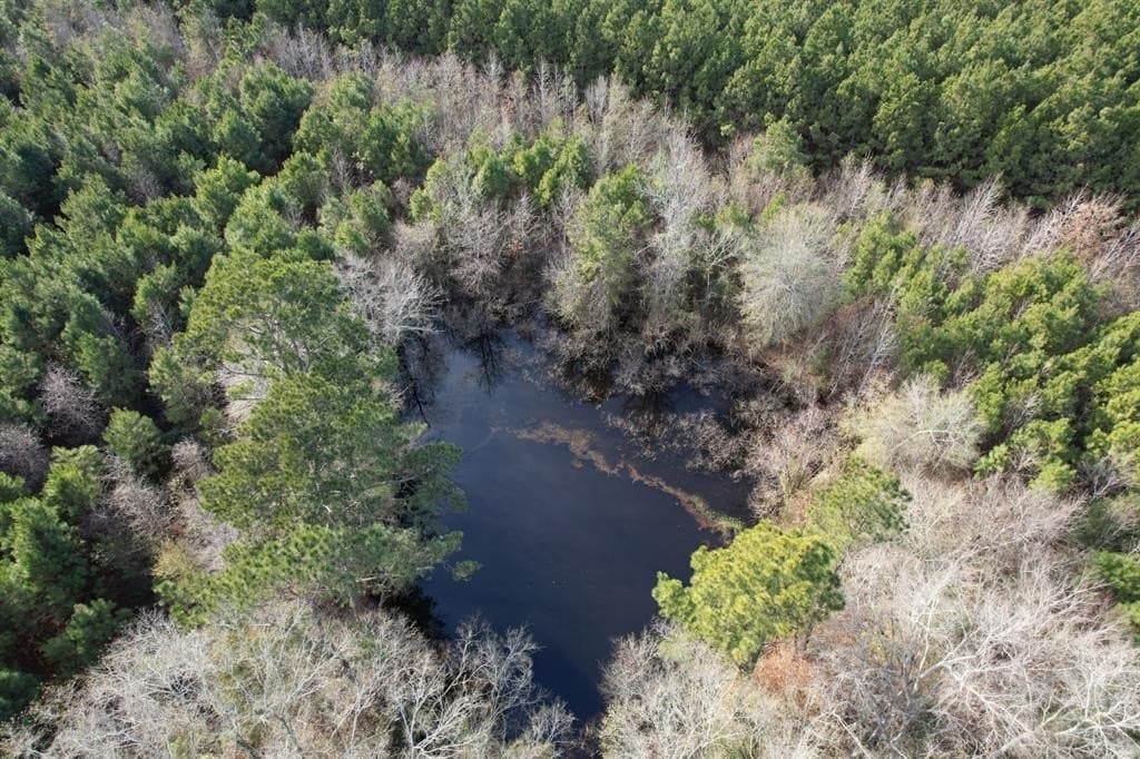12.2 acres in Shelby County