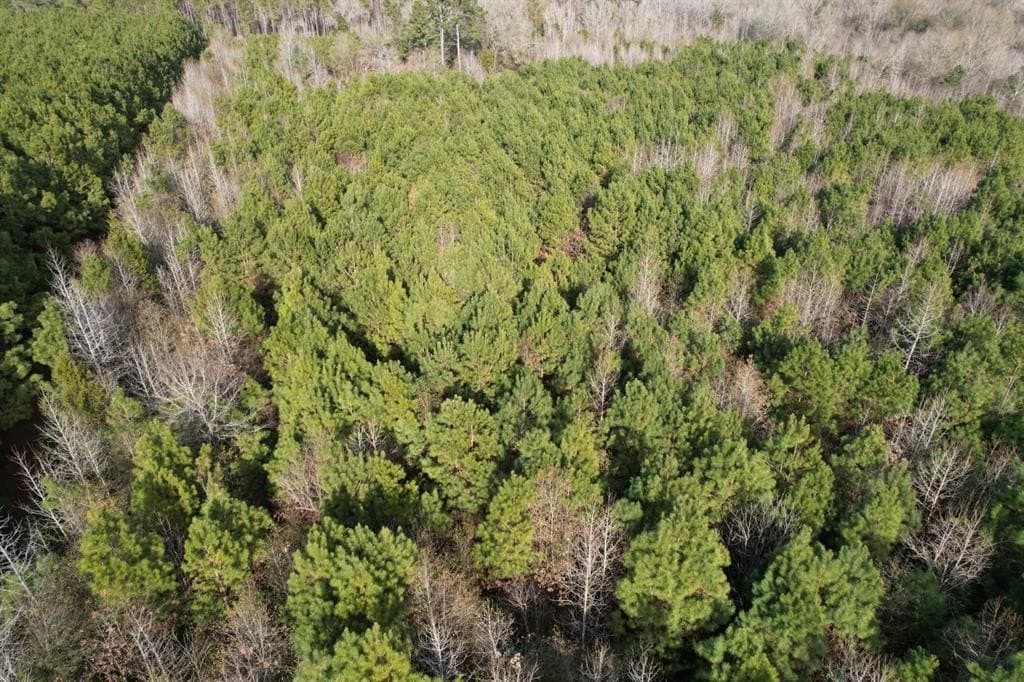 12.2 acres in Shelby County featured view