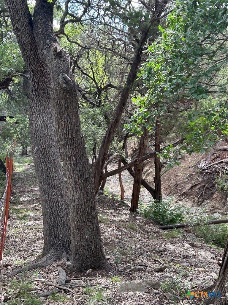 0.16 acres in Comal County - photo 3