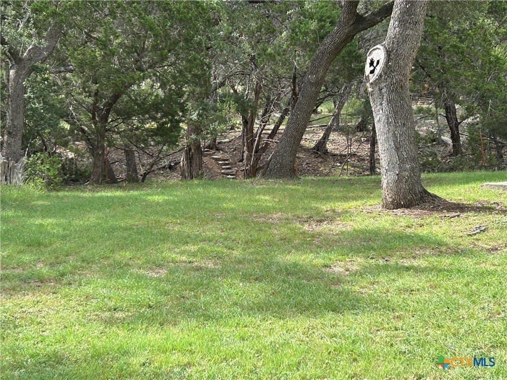 0.16 acres in Comal County - photo 4