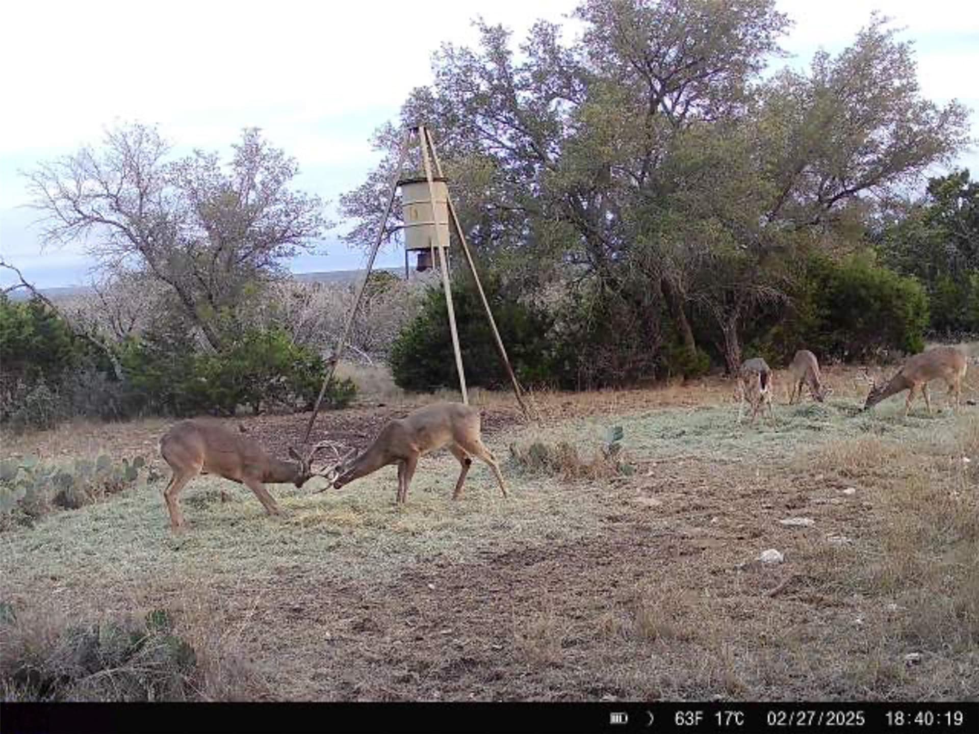76.9 acres in Kerr County - photo 31