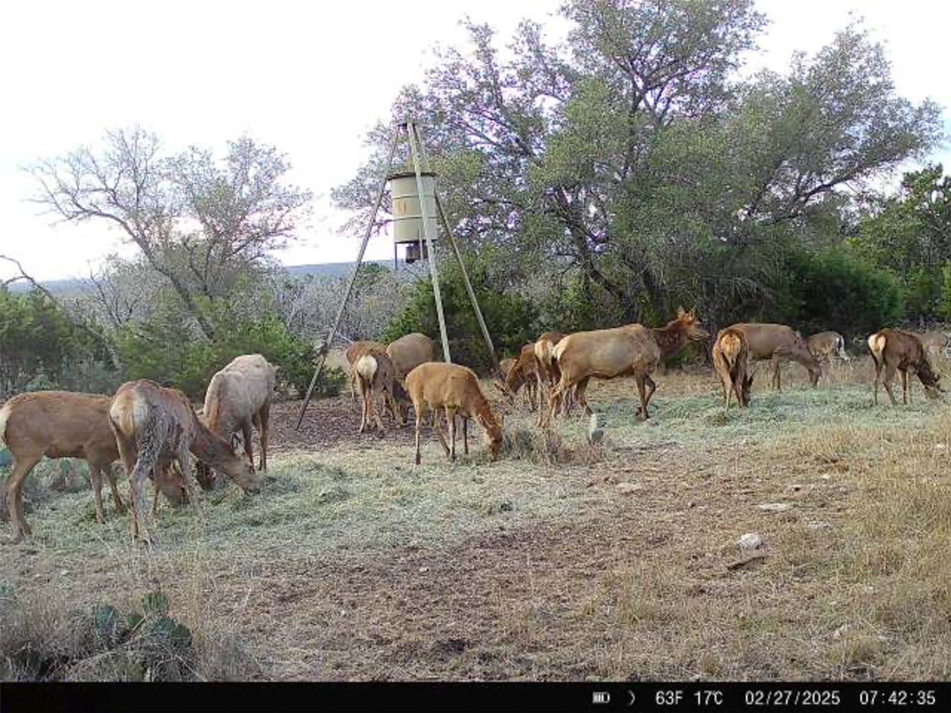 76.9 acres in Kerr County - photo 33