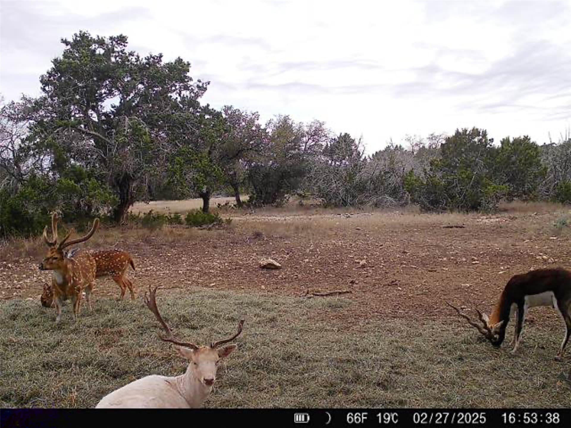 76.9 acres in Kerr County - photo 28