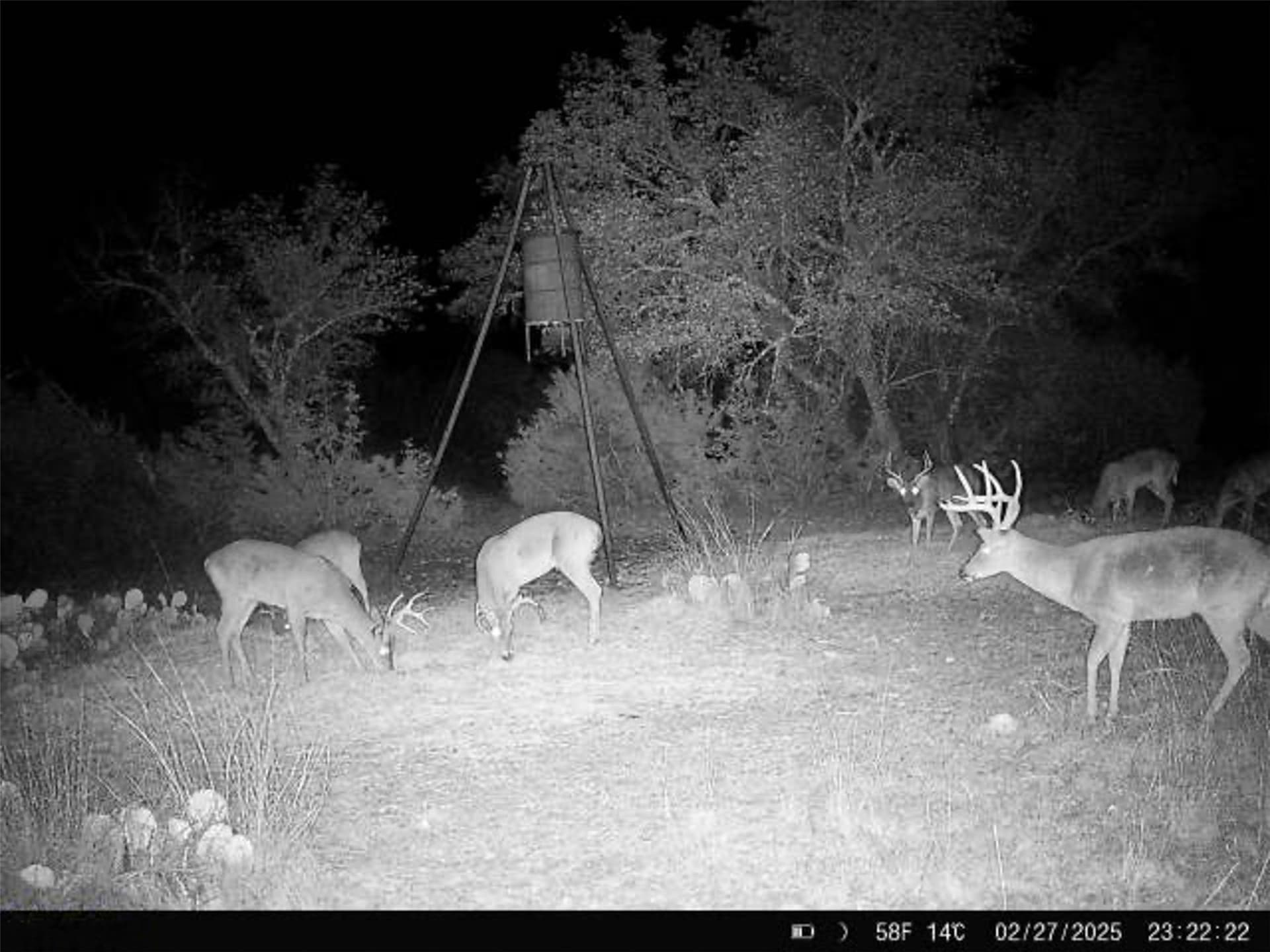 76.9 acres in Kerr County - photo 30