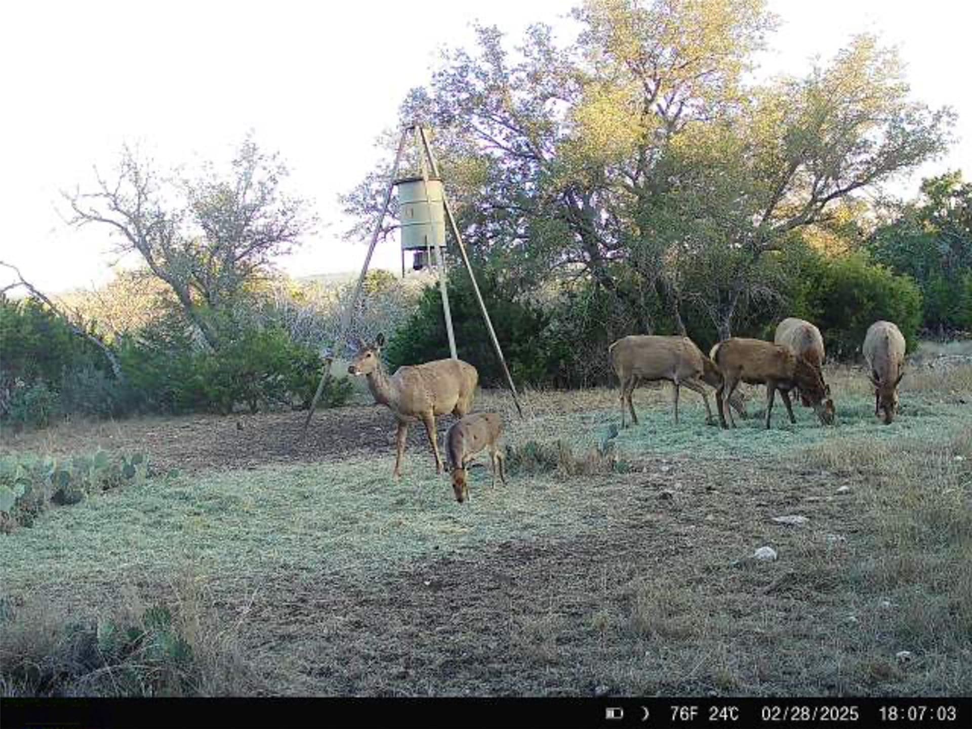 76.9 acres in Kerr County - photo 29