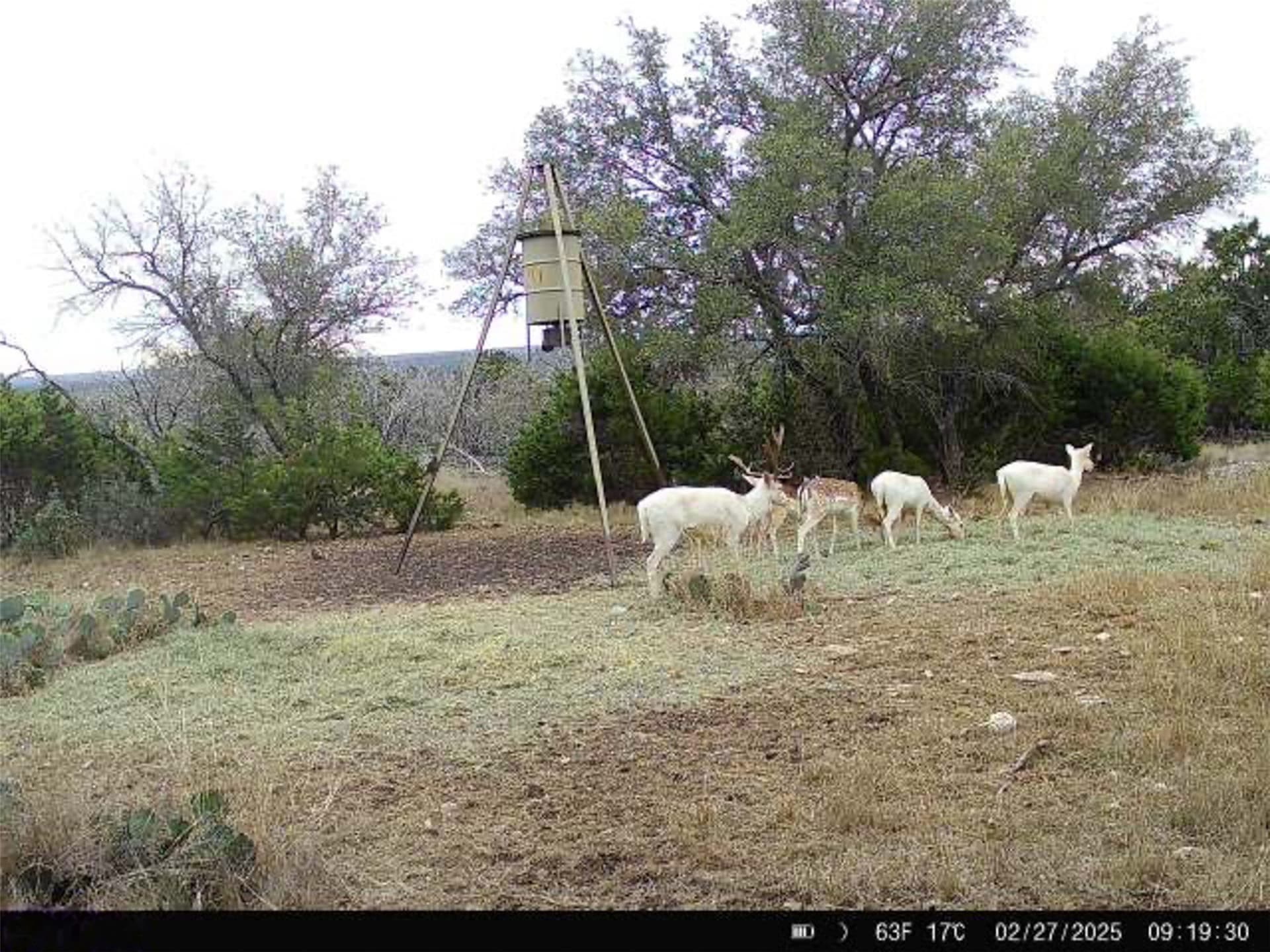 76.9 acres in Kerr County - photo 32