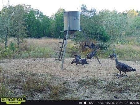 10 acres in Henderson County - photo 28