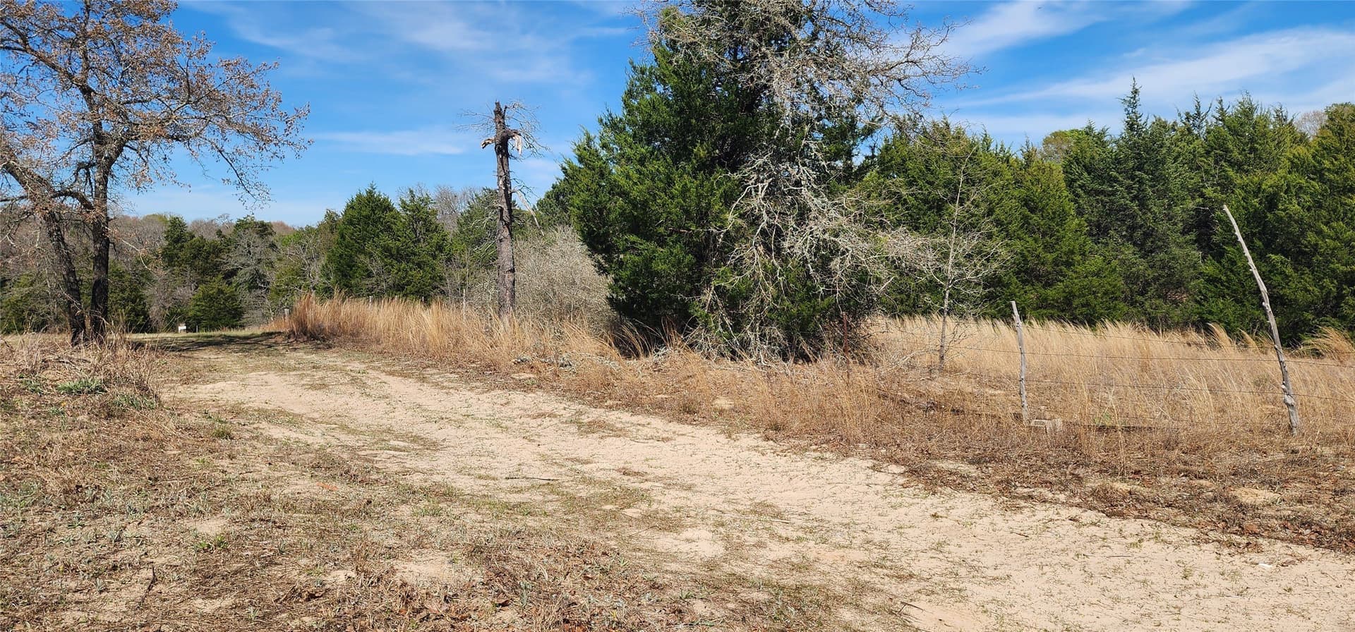 10 acres in Henderson County - photo 10