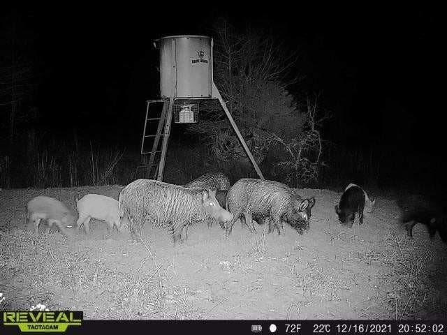 10 acres in Henderson County - photo 32