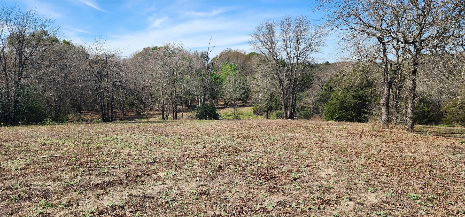 10 acres in Henderson County - photo 9