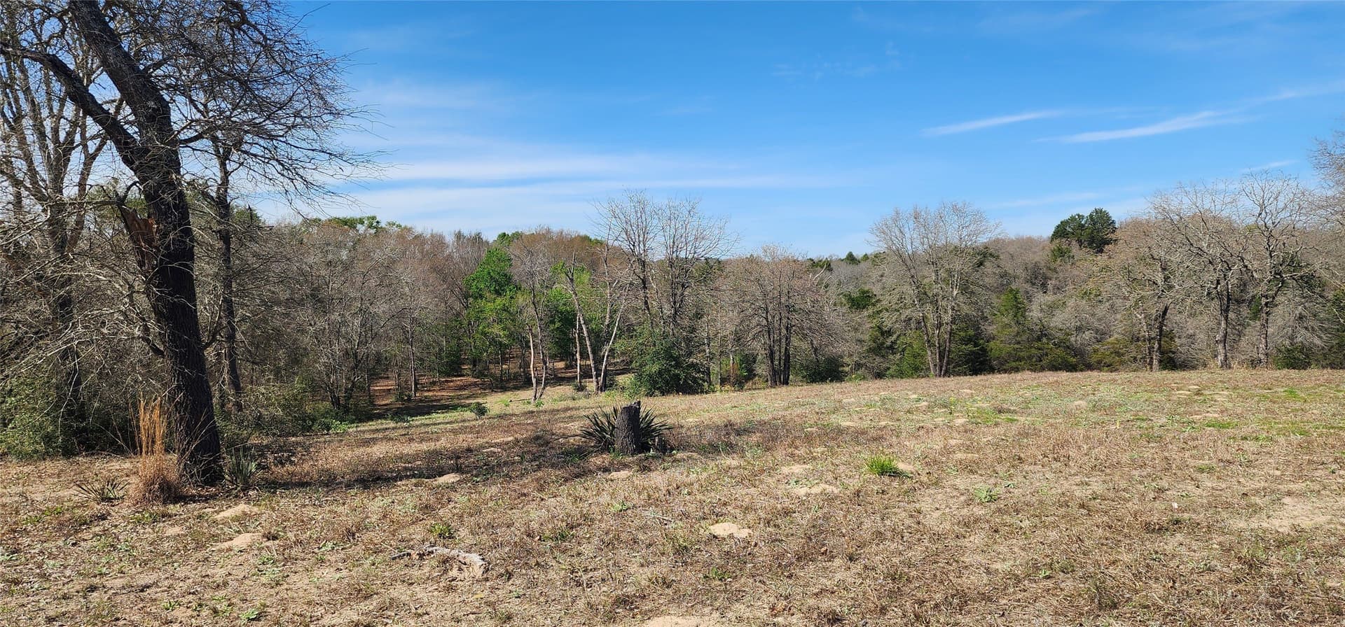 10 acres in Henderson County - photo 16