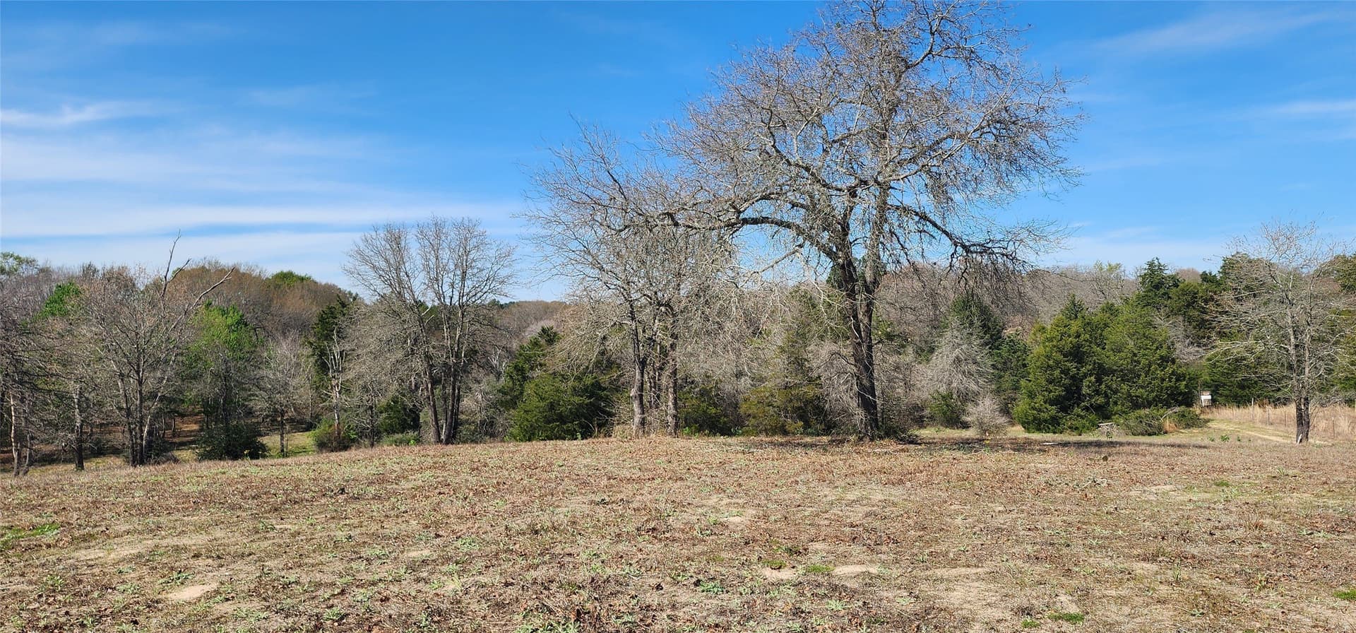 10 acres in Henderson County - photo 12